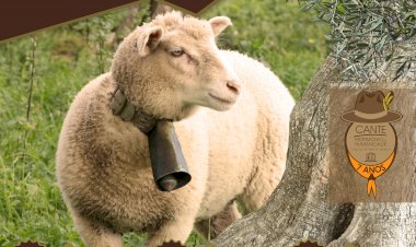 Buba Espinho, Tais Quais e Miguel Moura na Feira do Chocalho 2022