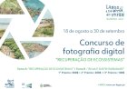Recuperação de ecossistemas destacada em concurso de fotografia  de Lagos