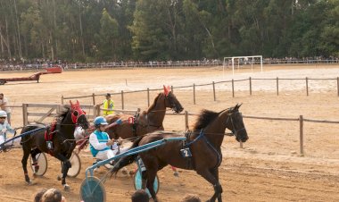 XXIV Corrida de cavalos a galope e trote atrelado