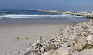 Cultura  100 anos após o seu nascimento, recordemos Saramago - Coimbra II