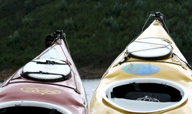 “Bode, a correr e a remar”  em Albufeira de Castelo do Bode