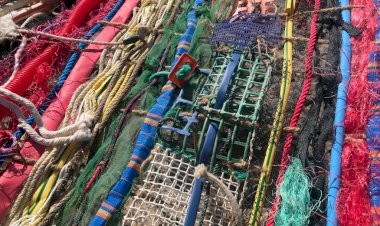 Restituição: Ou como (começar a) reparar um mundo partido em conversa