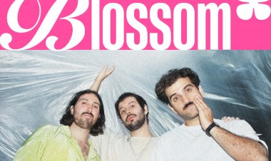 Ditch Days no Musicbox