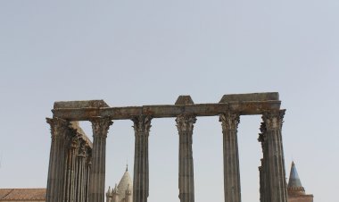 100 anos após o seu nascimento, recordemos Saramago - A segunda universidade mais antiga do país