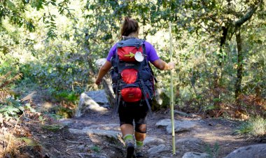 Município de Esposende assinala Dia Nacional do Peregrino