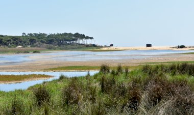 “Dia Aberto”  dá a conhecer futura reserva natural da Foz do Almargem e do Trafal