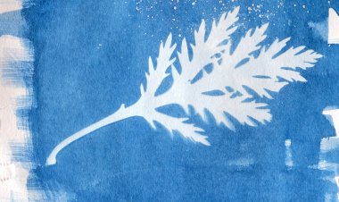 PHOTOfest Cantanhede dinamiza três workshops de fotografia