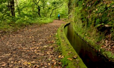 100 anos após o seu nascimento, recordemos Saramago - A “Pérola do Atlântico”