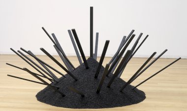 Câmara de Lamego e Fundação de Serralves inauguram exposição Matéria/ Ação