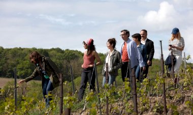 Cinema à mesa na Festa do Cinema Francês