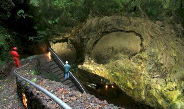 100 anos após o seu nascimento, recordemos Saramago - As maiores estalactites do mundo