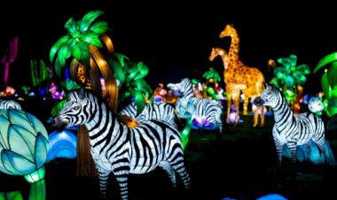 Luzes Selvagens e Casa dos Animais Nocturnos são as sugestões para a noite mais assustadora do ano