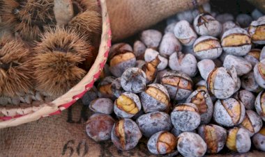 Animação para todos os gostos na 359ª edição da Feira de São Martinho