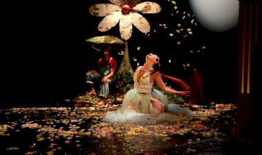 Saramago, dança, música e três festivais em Novembro no Cineteatro Louletano