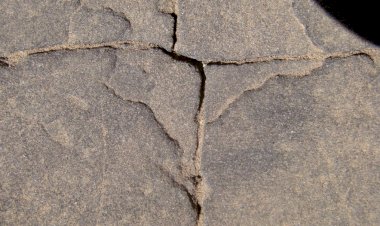 Ciclo de Conferências "Impérios"