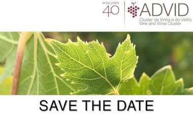 Dia Mundial do Solo: onde a alimentação começa! Gestão sustentável do Solo em Viticultura