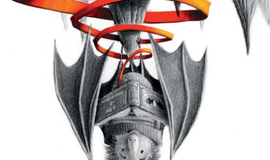 Novembro traz a Albufeira exposições para todos os gostos