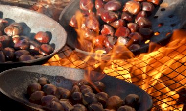 São Martinho celebrado com magusto e animação por todo o concelho de Albufeira