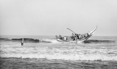 Museu Marítimo de Ílhavo assinala o Dia Nacional do Mar