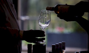 Enóphilo Wine Fest regressa ao Porto com 35 produtores e mais de 250 vinhos