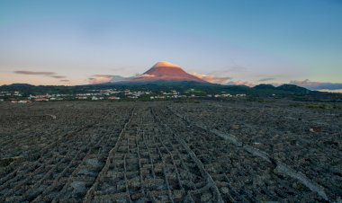 Pico e São Miguel reunidas em nome da cultura gastronómica e vínica Açoriana