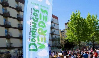 Domingo Verde em tons de Natal