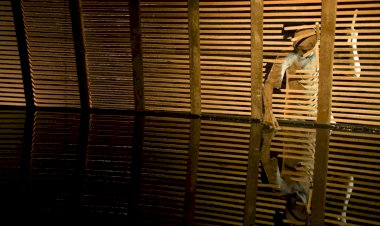 CIAJG e Palácio Vila Flor mostram olhares comunitários e agregadores na rota de exposições que inauguram a 10 de dezembro