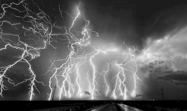 Museu de Portimão inaugura no Dia da Cidade a exposição da 22ª Corrida Fotográfica de Portimão e a mostra “Planeta em Fúria”