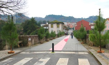 “Pinhas” e Pinheiros de Natal decoram as ruas arcuenses