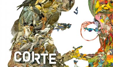 Exposição "Corte", de Burry Buermans, na Paços