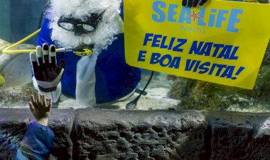 Pai Natal dos Oceanos cumpre tradição e mergulha no SEA LIFE Porto