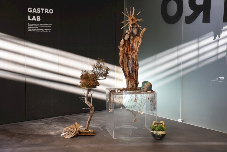 João Pinto “A Natureza do Natal II” na COMUR-Museu Municipal