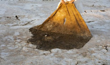 “Sustentar” expõe seis projetos de seis artistas em seis territórios