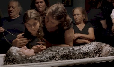 Ciclo "Café com Filmes" prossegue no Teatro-Cine de Torres Vedras