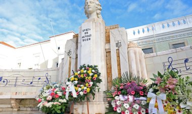 Criação da Casa Luísa Todi avança este ano