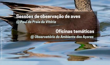 Actividades para o Dia Mundial das Zonas Húmidas