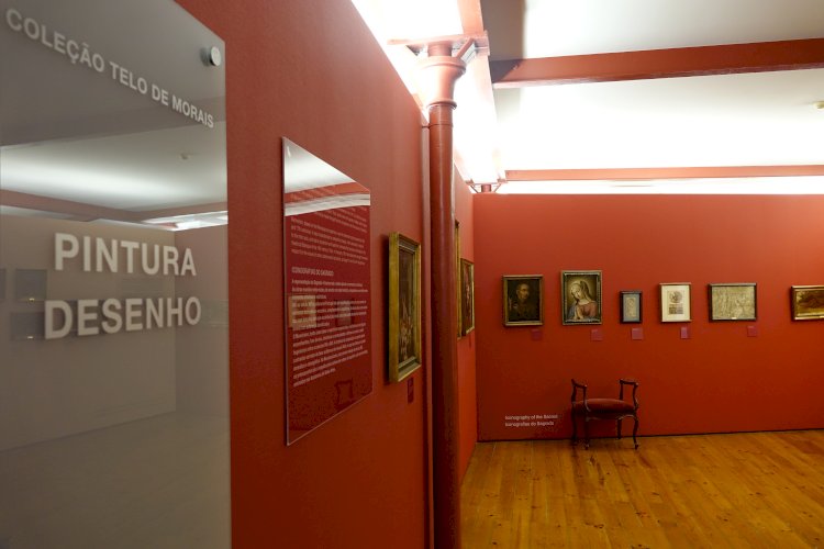 Museu Municipal de Coimbra entra em janeiro com propostas para os todos os públicos