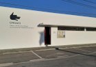 Centro de Recolha Oficial de Animais de Companhia de Ílhavo apto para receber gatos