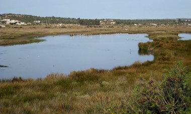 Portimão assinala Dia Mundial das Zonas Húmidas com diversas acções ambientais