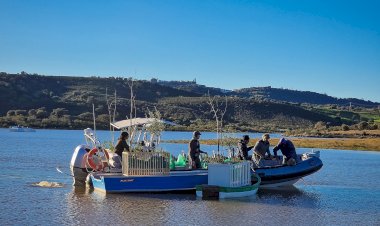 Instalação artística com paisagem cénica de árvores dentro de barcos exposta junto ao Centro Náutico de Monsaraz