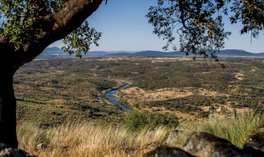 Projeto Landscape Together vai trazer arte e cultura para as paisagens de Idanha