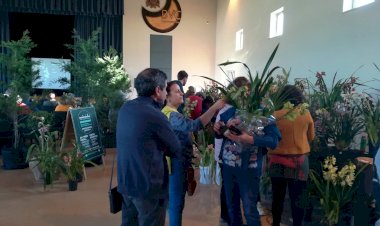 4.ª edição da Exposição de Orquídeas