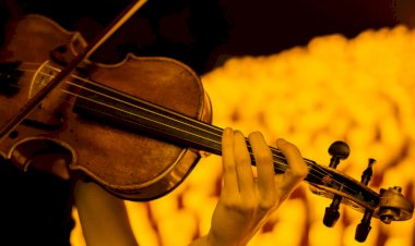 Porto estreia concerto à luz das velas dedicado à obra de Adele