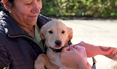 Canil Municipal abre um domingo por mês em “Open Day” para adopção gratuita e responsável