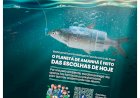 Vila de Rei associa-se à campanha “O Planeta de Amanhã é Feito das Escolhas de Hoje”