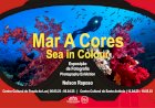 Centros culturais de Fenais da Luz e de Santo António mergulham num “Mar a cores”
