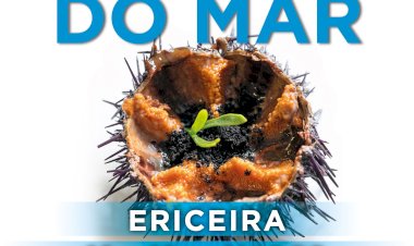 7.º Festival Internacional do Ouriço-do-Mar