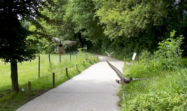 40 anos do Parque Biológico de Gaia  assinalados com dias abertos