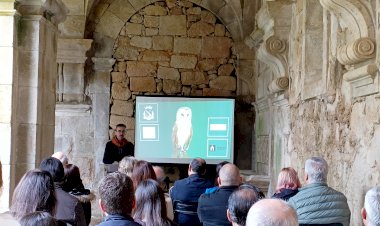 Corujas-das-Torres ganham nova casa no Mosteiro de Santa Maria de Salzedas