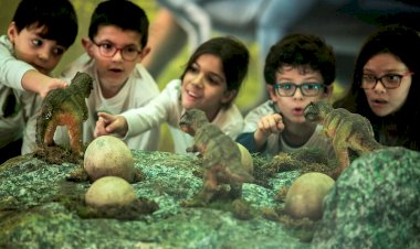 Coelhos que dançam sozinhos, robôs inteligentes e dinossauros à escala real: as Férias com Ciência estão a chegar!